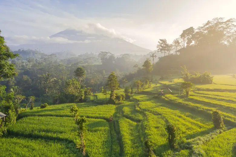 Rice fields below Mount Agung, seen from Sidemen.